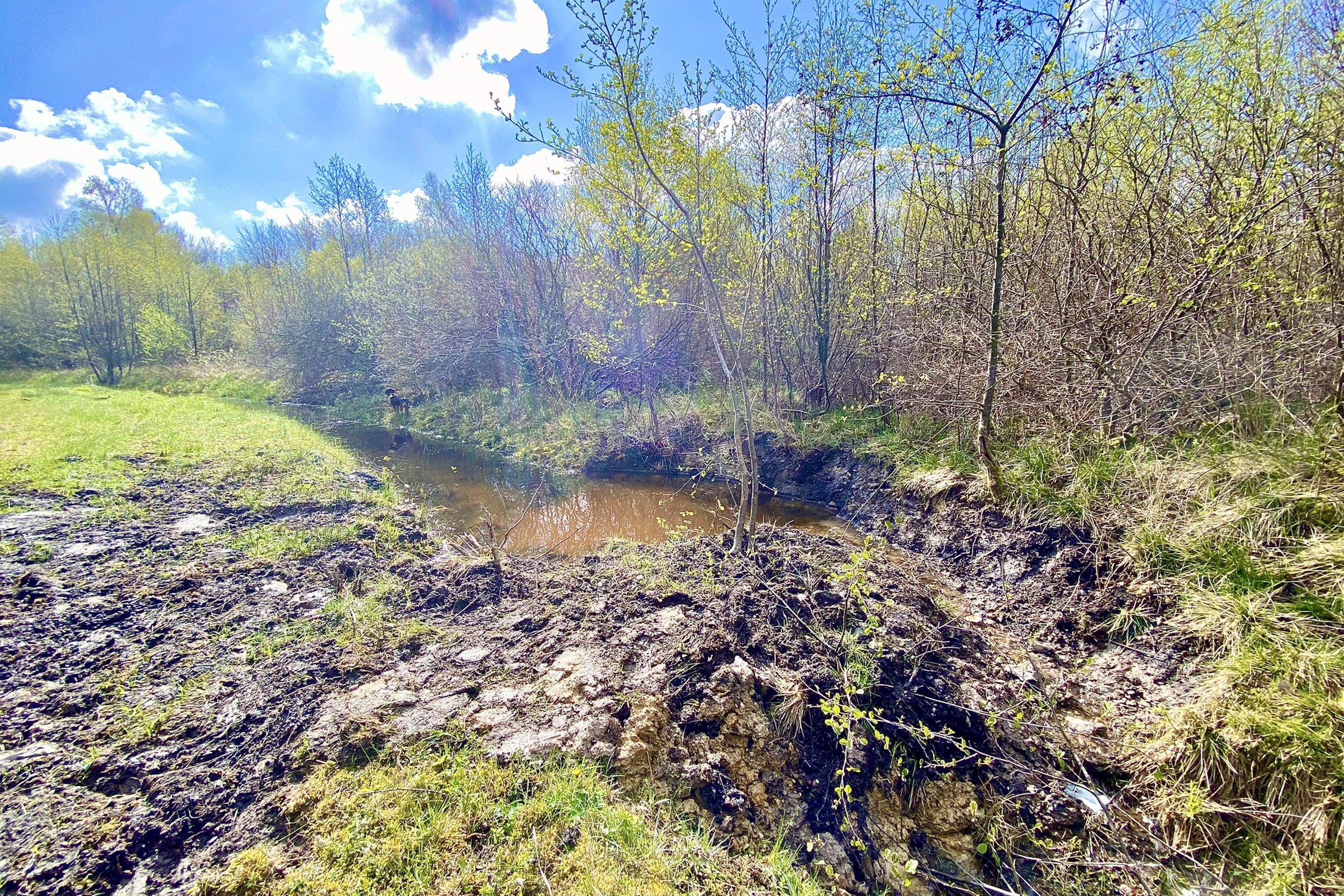 Das alte Grabensystem zur Entwässerung wurde am Poschleyer Weg unterbrochen, um mehr Wasser in den Beständen zu halten. Das dient dem Waldumbau und dem Hochwasserschutz in Roetgen.