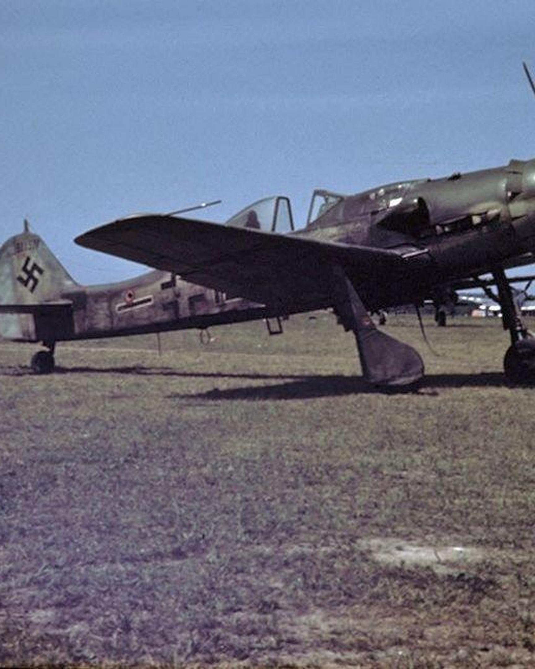 Eine historische Aufnahme einer Focke-Wulf 190 D-9 von 1945. Mit diesem Flugzeugmodell stürzte der Pilot über Aldenhoven ab. 