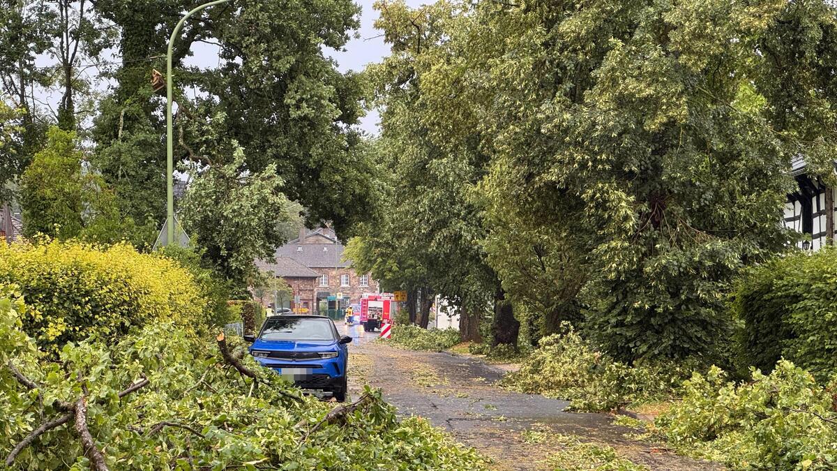 Tornado hinterlässt Schneise der Verwüstung in der Eifel