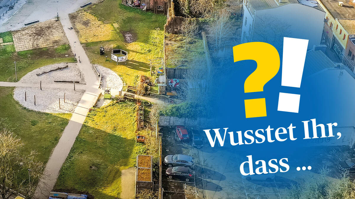 Folge 49: Im Fokus