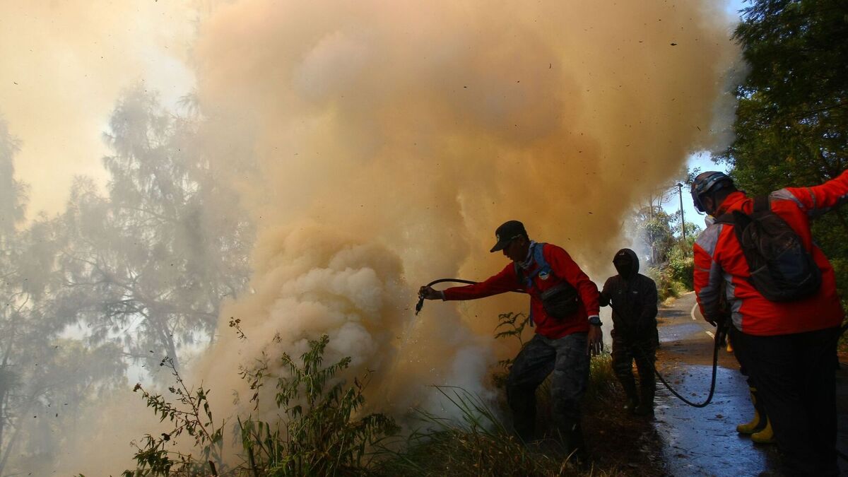 Waldbrand am Vulkan Bromo: Sperrungen für Touristen | Aachener Zeitung