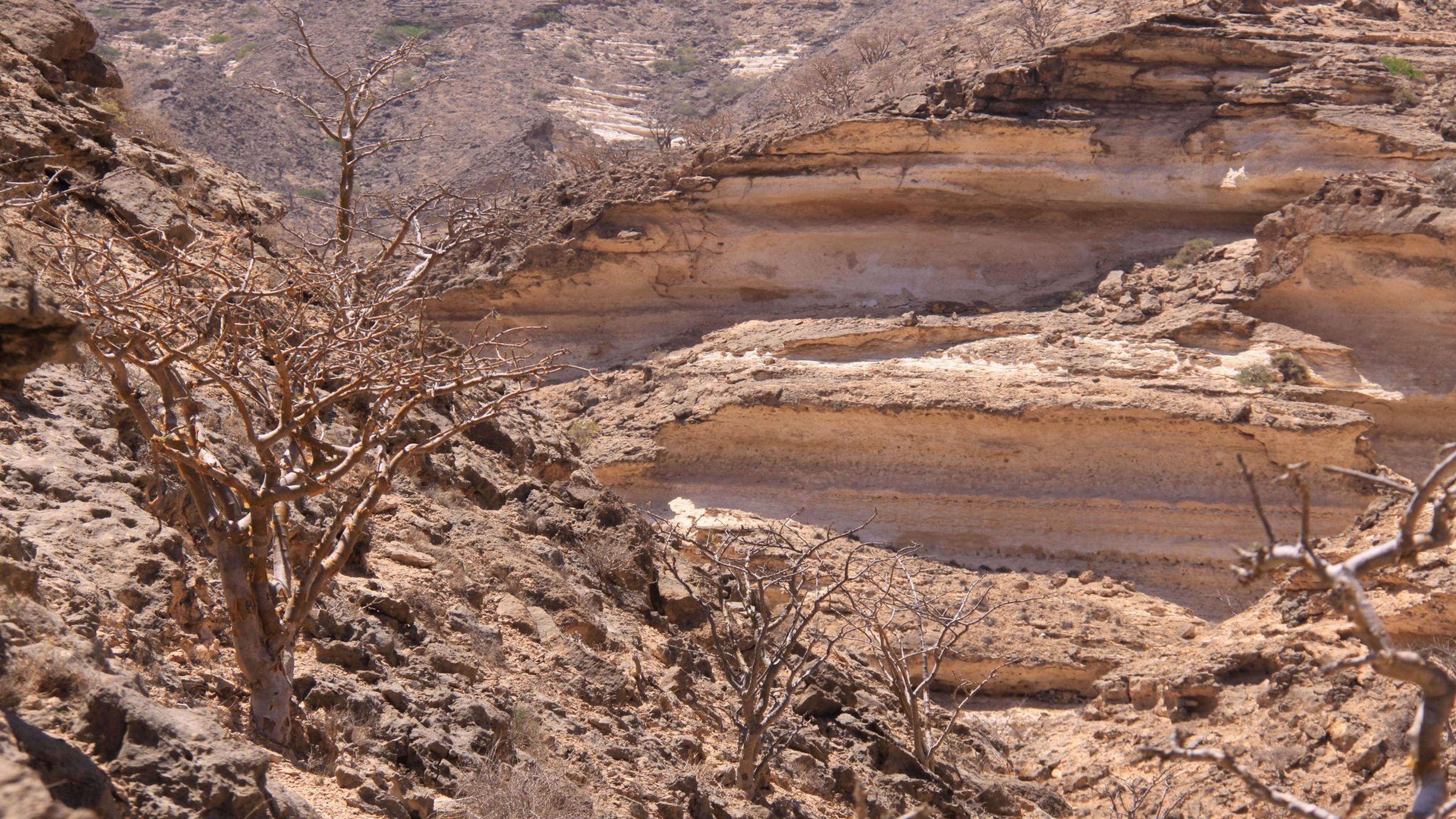 Wandergruppe im Oman ger&auml;t in schwere Regenf&auml;lle - vier Tote