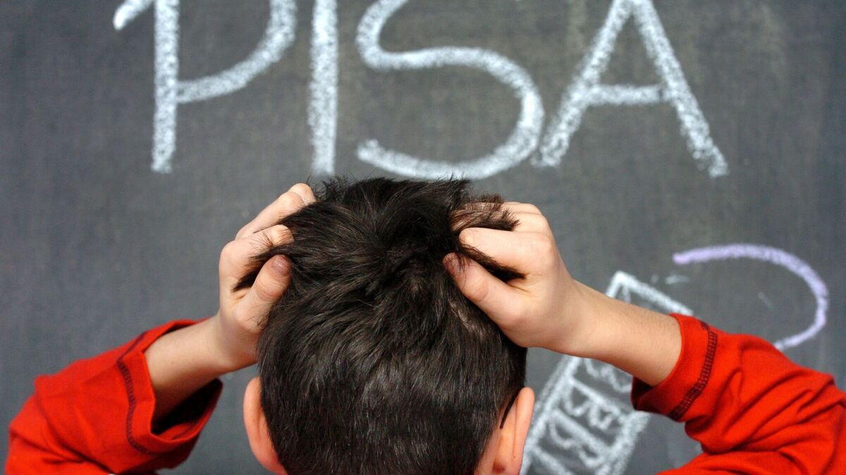 'Bild': Deutschland sackt bei Pisa-Studie weiter ab