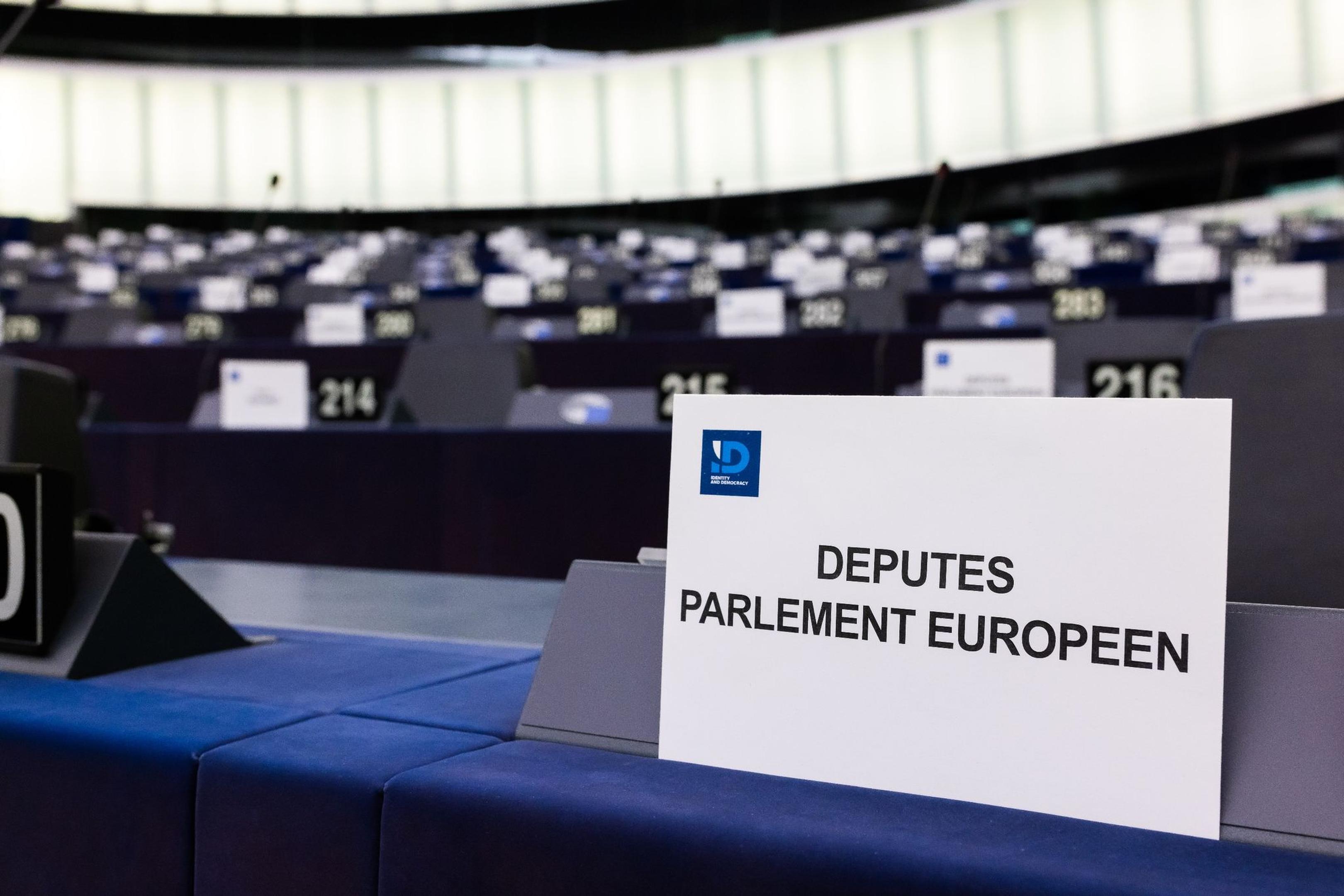 Zu der ID-Fraktion im EU-Parlament gehören neben der italienischen Lega unter anderem auch die französische Partei RN von Marine Le Pen.