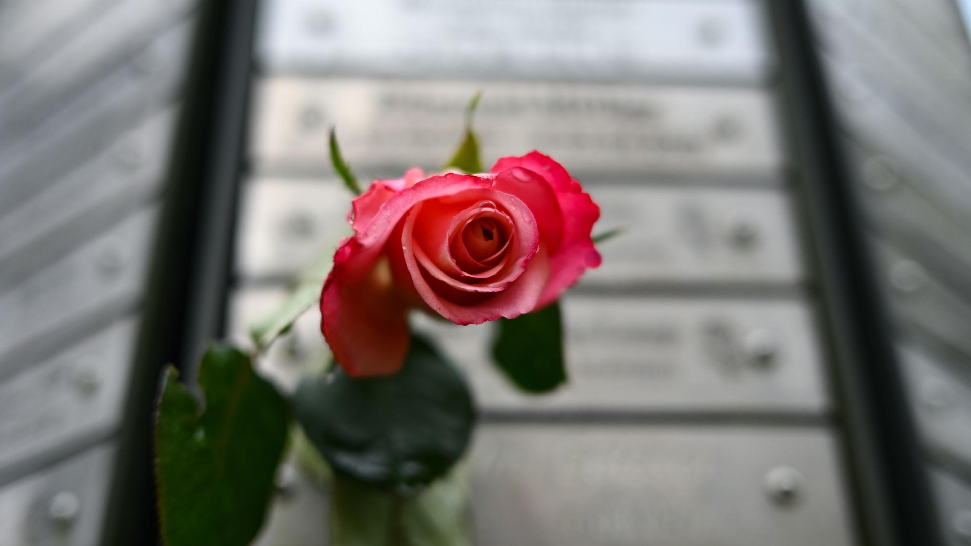 Zahl der Sterbefälle in NRW gesunken