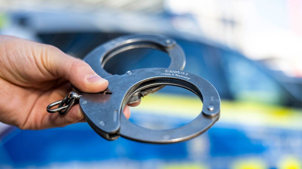 Eleven arrests in Europe-wide raid against drug-related crime - | ...