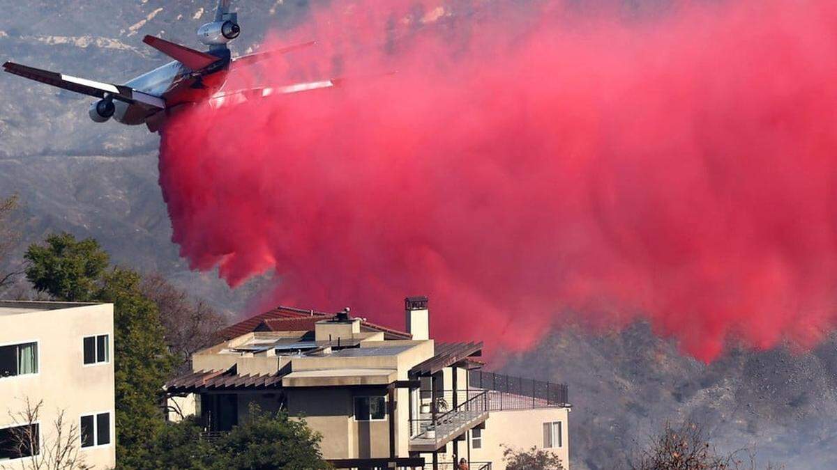 Los-Angeles-f-rbt-sich-rosa-mit-Fluopigmenten-aus-Limburg