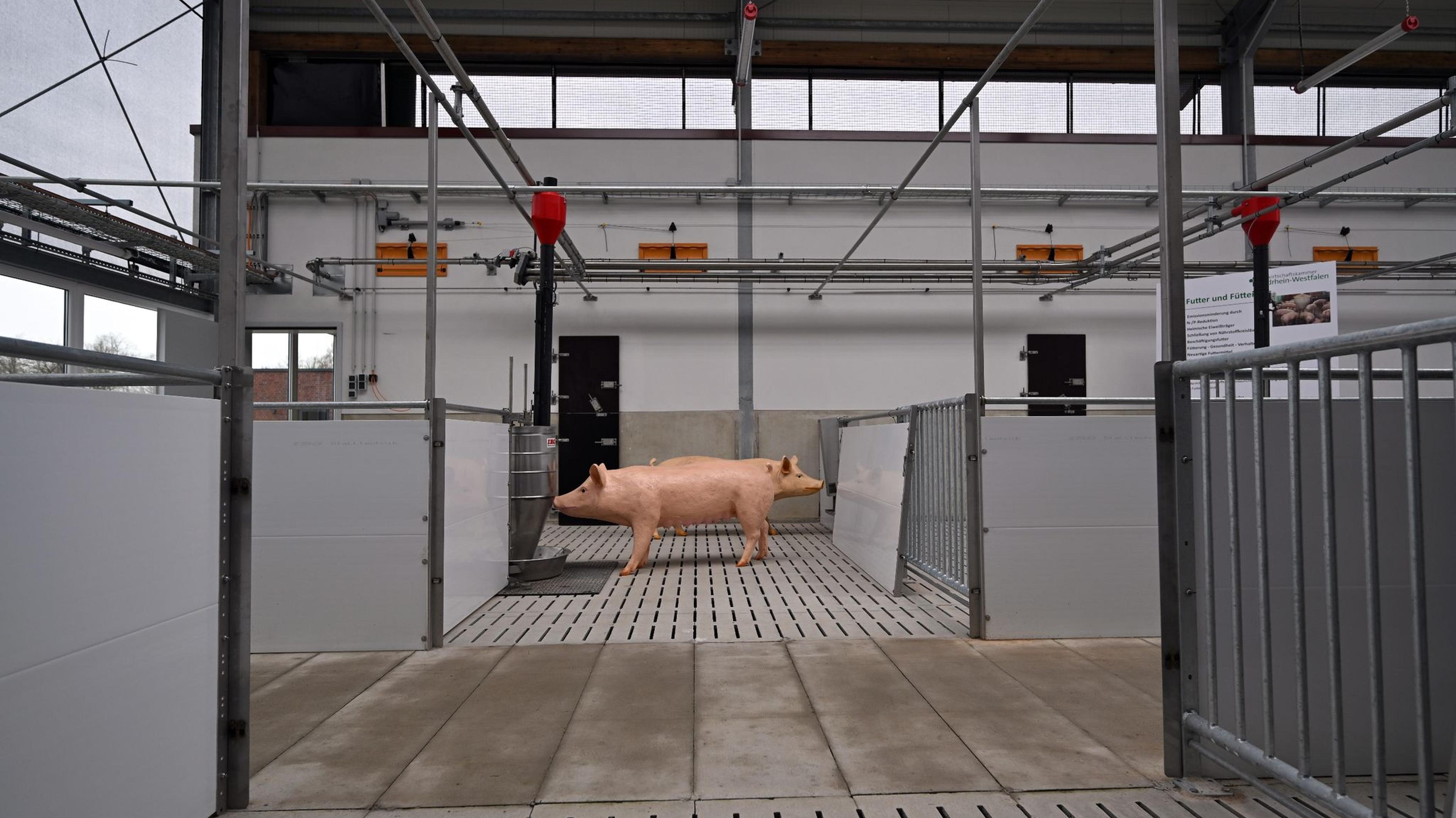 Kunststoffschweine stehen im „Stall der Zukunft“.