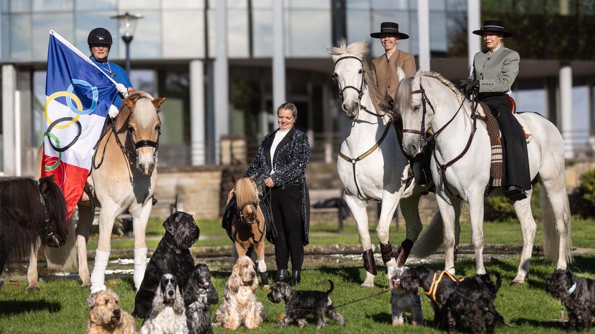 messe-hund-pferd-mit-shows-und-dog-dancing