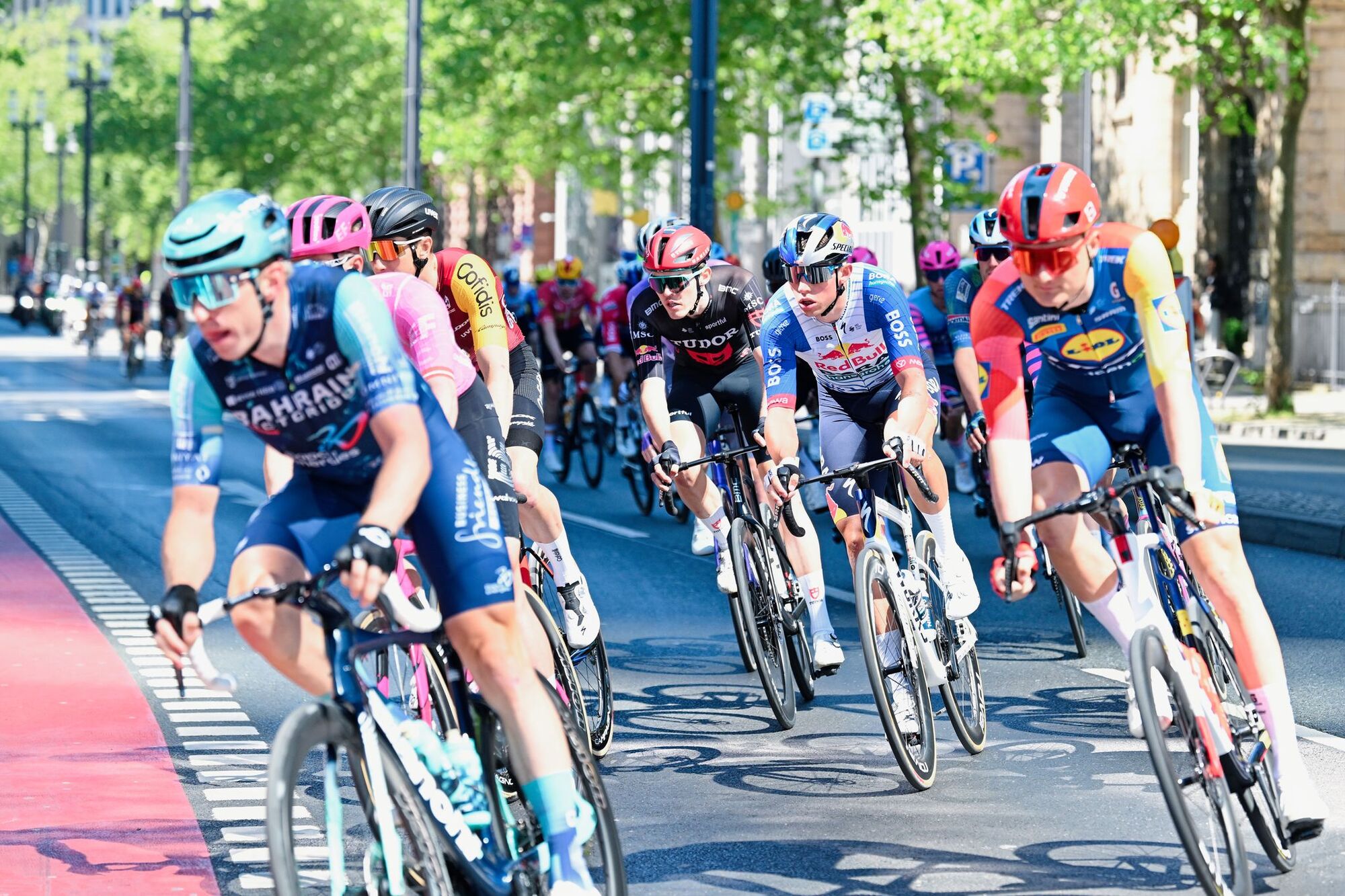 rennrad windweste Fahrradweste Herren