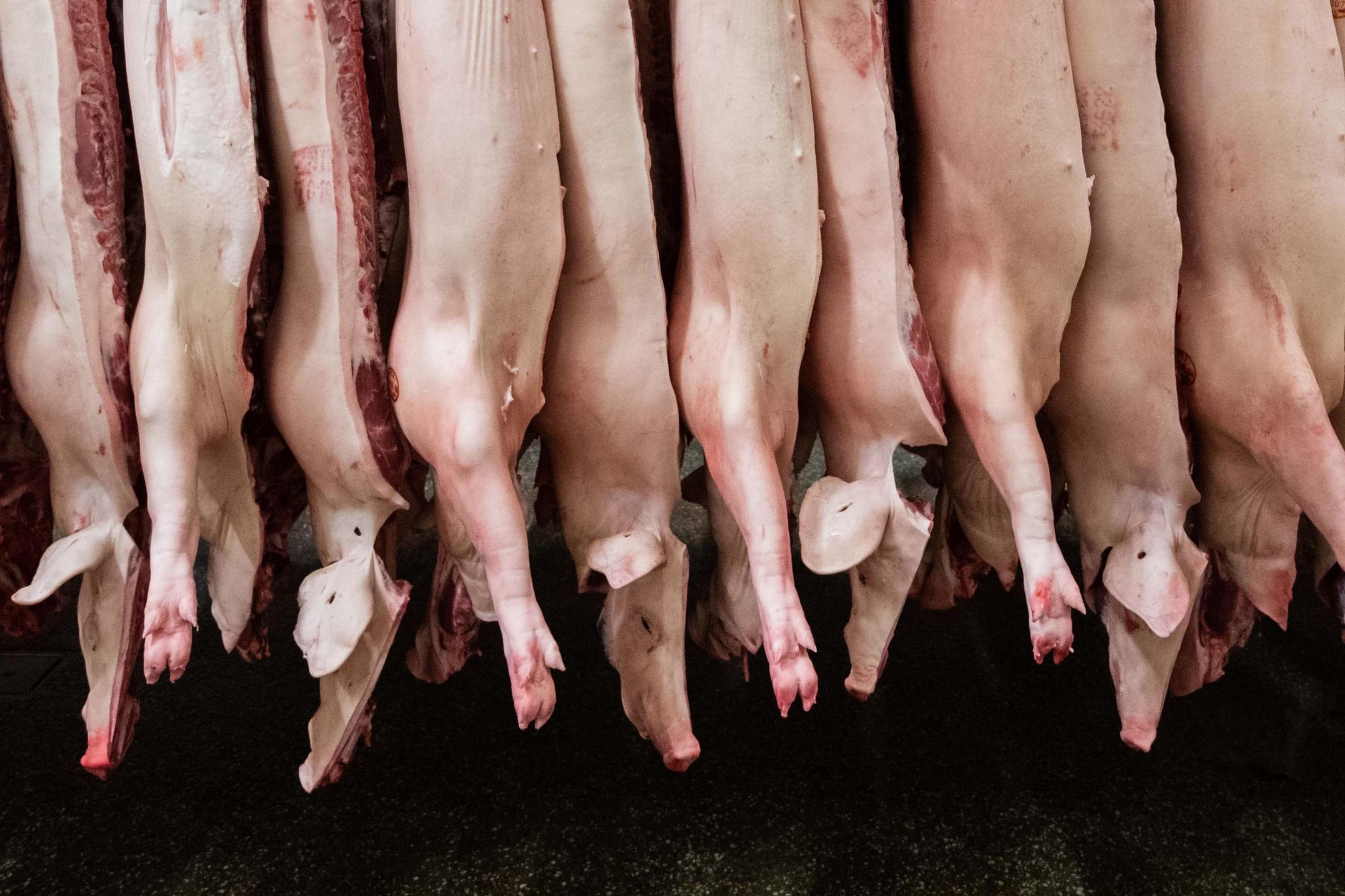 Insgesamt produzierten Schlachtunternehmen 2023 rund 4,2 Millionen Tonnen Schweinefleisch - deutlich weniger als noch 2022.